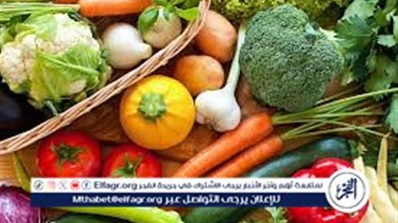 تراجع طماطم وارتفاع ليمون في أسواق المنيا الخميس 15 يناير